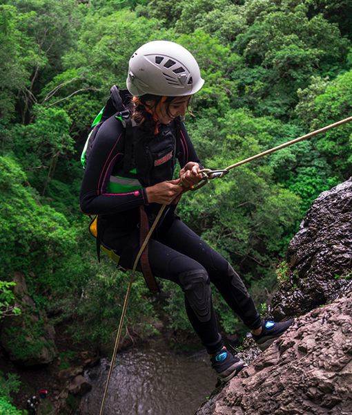 Wildlife & Adventure