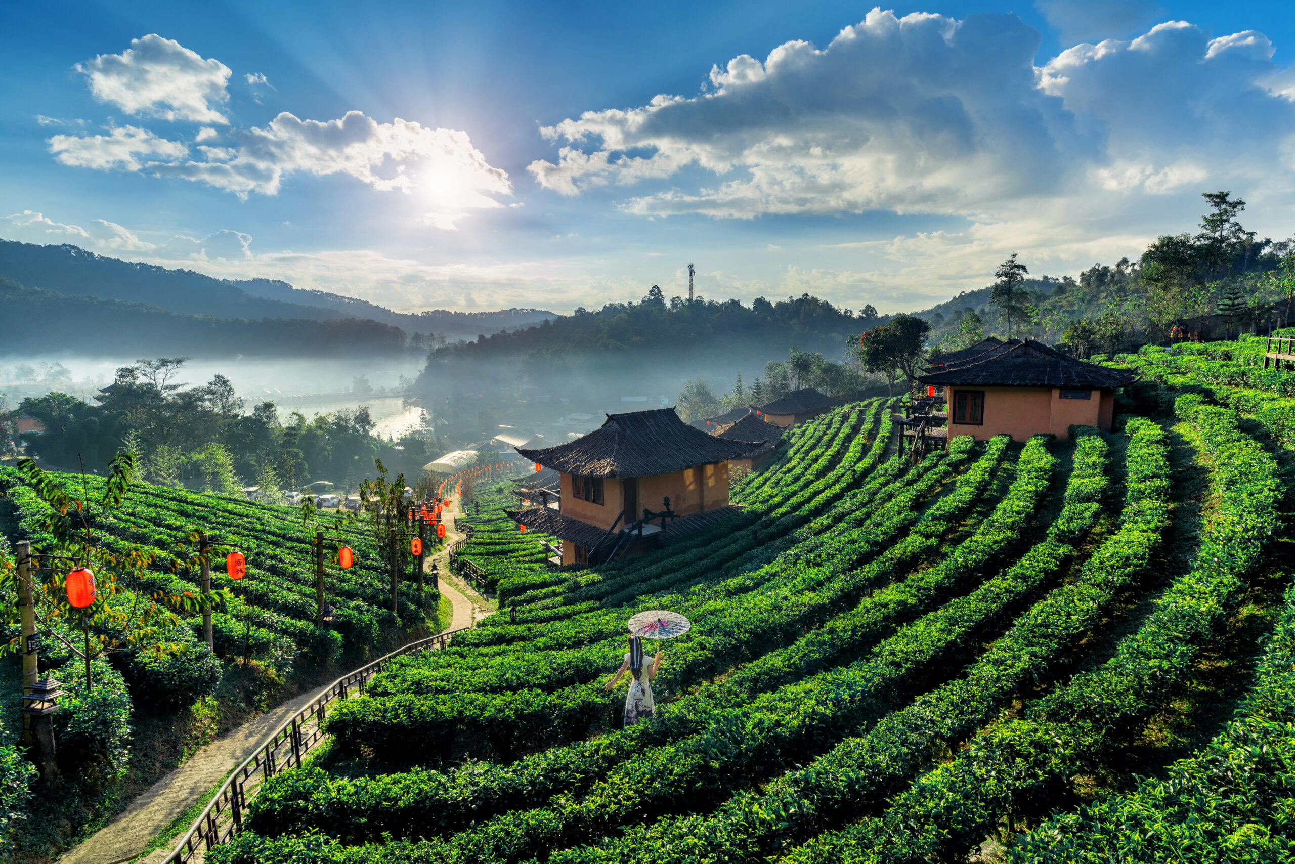 Darjeeling