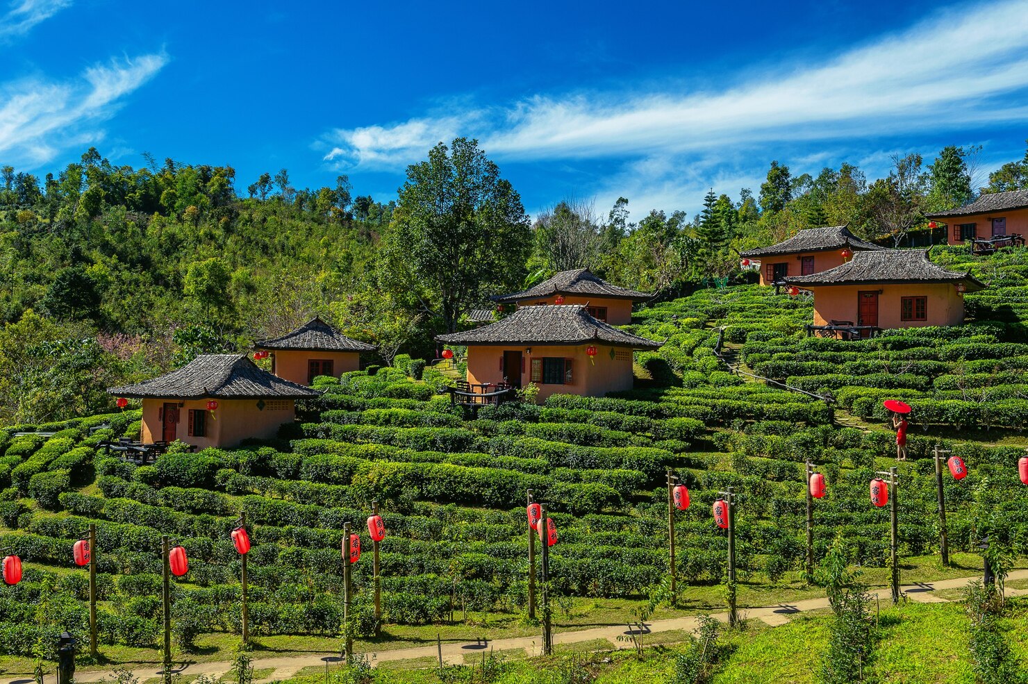 Kalimpong