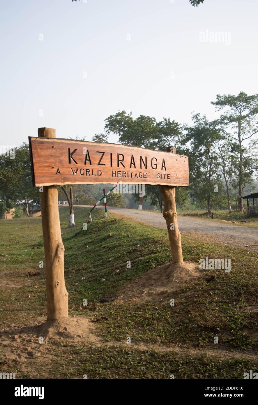 Kaziranga