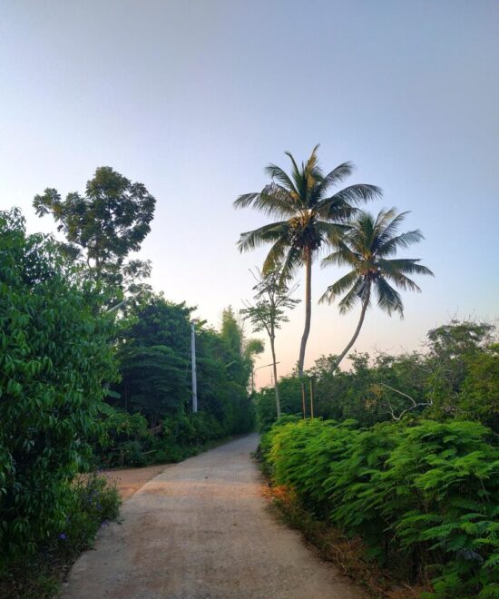 Kerala