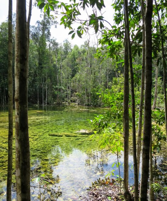Sundarbans